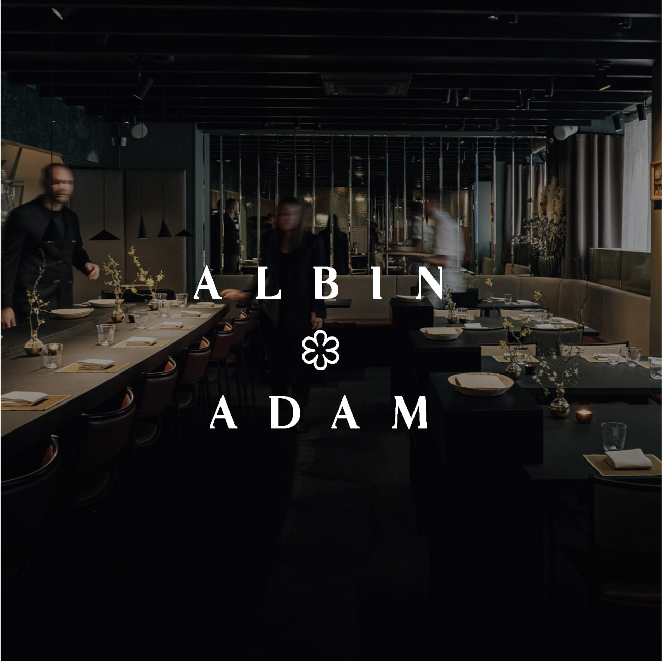 Adam/Albin